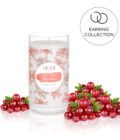 Cranberry Earring
